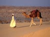 Spotlight on the Holy Land