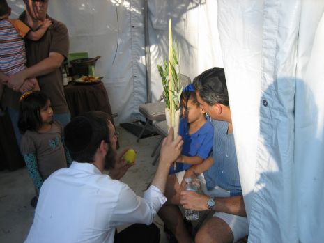 Shaking the Lulav