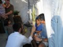 Shaking the Lulav